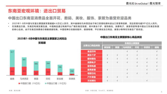 消费趋势及中国企业出海洞察九游会j9登录东南亚科技(图5)