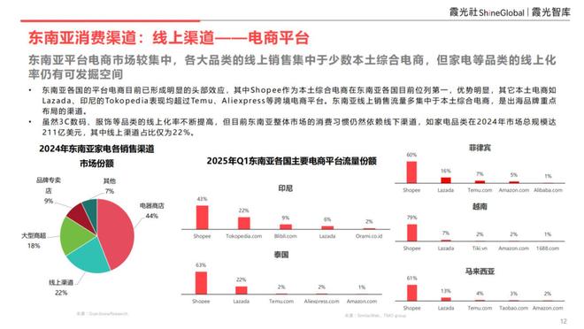 消费趋势及中国企业出海洞察九游会j9登录东南亚科技(图4)