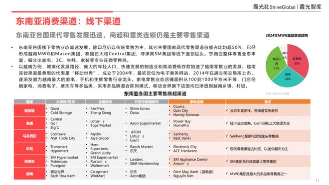 消费趋势及中国企业出海洞察九游会j9登录东南亚科技(图2)